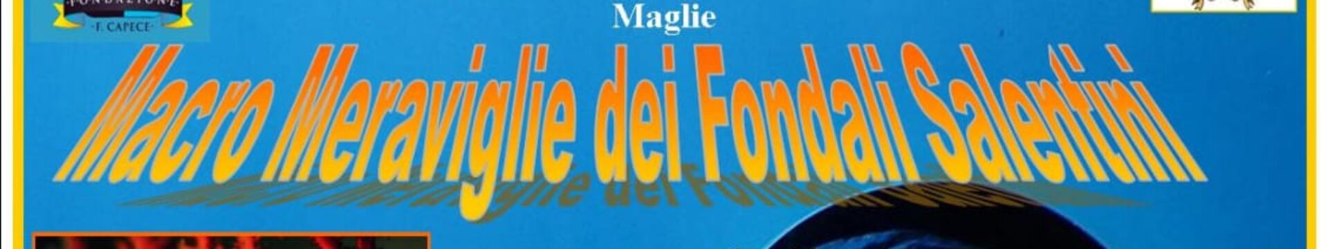 Meraviglie dei Fondali Salentini – Mostra